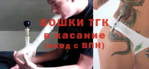 ешки Медногорск